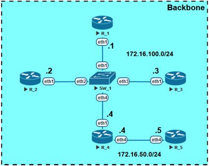 Схема для демонстрации процесса выбора DR/BDR