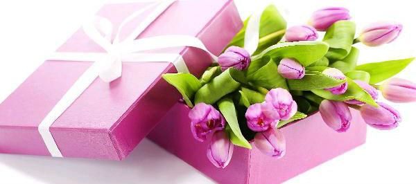 Команда SPW поздравляет прекрасных дам с 8 марта